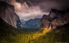 nature, photography