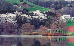 photography, nature