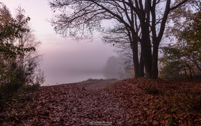 photography, nature
