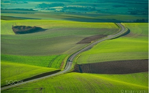 nature, photography