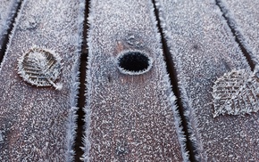 photography, frost