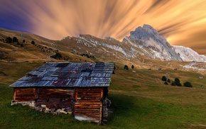 photography, nature