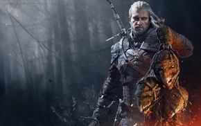 The Witcher 3 Wild Hunt, The Witcher, video games