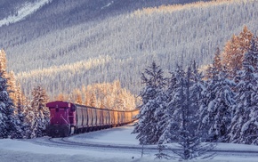 photography, train, winter, nature