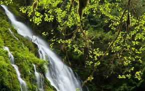 nature, waterfall, jungle