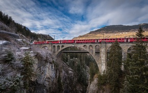 train, photography, nature