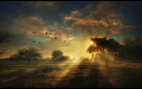 nature, landscape, photography