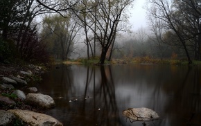 nature, photography