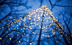 trees, lights, bokeh, winter, depth of field, christmas lights