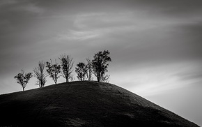 photography, nature