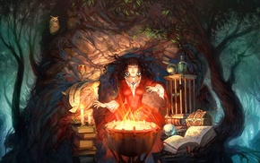 fantasy art, witch