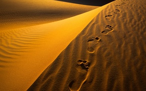 desert, photography
