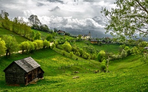 nature, landscape