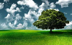 nature, landscape