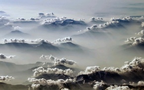nature, photography