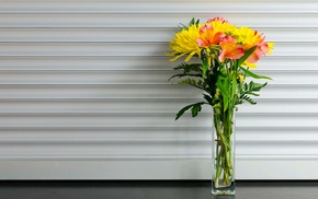 flowers, vases, bouquets, photography
