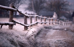 nature
