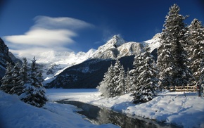 nature