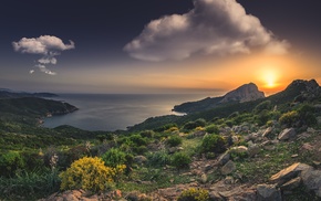 landscape, nature