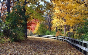photography, nature