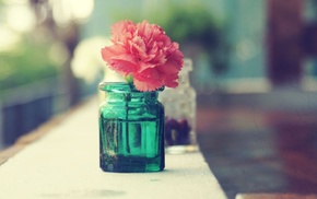flowers, pink flowers, jars
