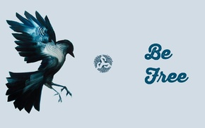 birds, bird of prey, Freedom Planet, free