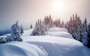 landscape, ice, trees, snow, winter