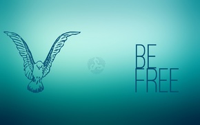 freedom, colibri bird, birds, free