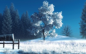 snow, nature, trees, winter