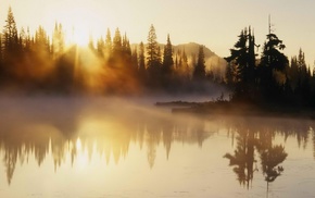 landscape, lake, trees