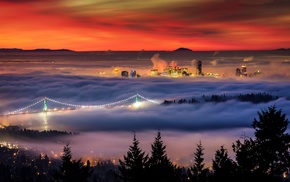 bridge, photography, trees, mist, city