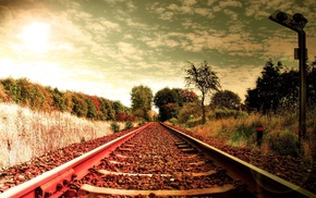 railway, trees, nature, plants, photography