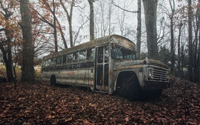 abandoned, buses, vehicle, wreck