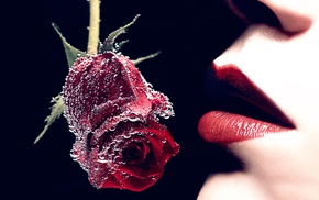 lips, girl, rose