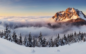 mountains, landscape, trees, winter