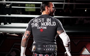 wrestling, CM Punk, WWE