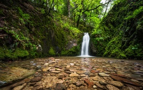 landscape, water