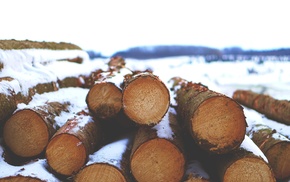 winter, timber, nature, snow, wood