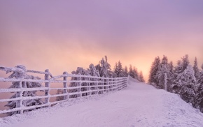 landscape, winter, snow