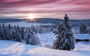 snow, nature, winter, landscape