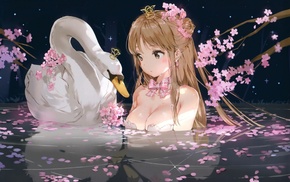 water, Anmi, blossom, swan, cleavage