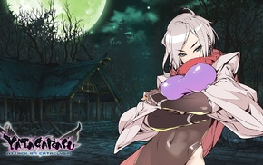 anime, Yatagarasu Attack on Cataclysm, Hattori Hanzo Uruka
