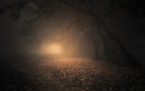 Slovakia, morning, dark, fall, atmosphere, landscape