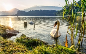 landscape, lake