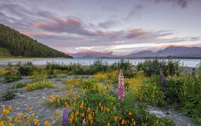 lake, landscape