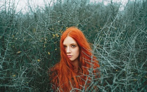 girl, face, redhead