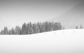 trees, landscape, snow