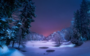 night, lake, forest, winter, path, snow