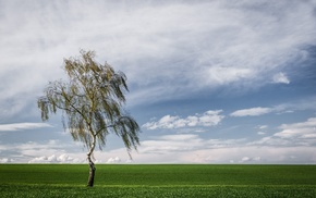 landscape, clouds, nature, trees