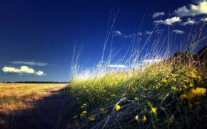 nature